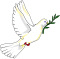Peace dove